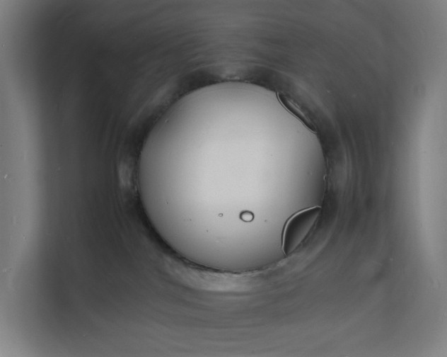 X0000112150044200908211423