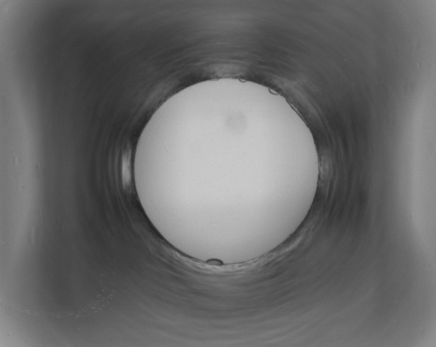 X0000112150046200908211423