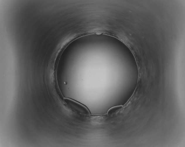 X0000112150050200908211422