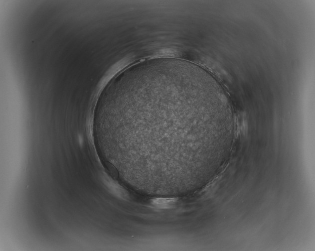 X0000112150051200908211422