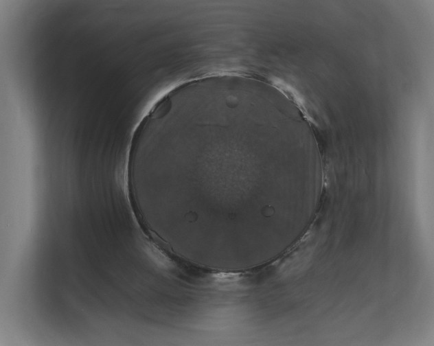 X0000112150052200908211422