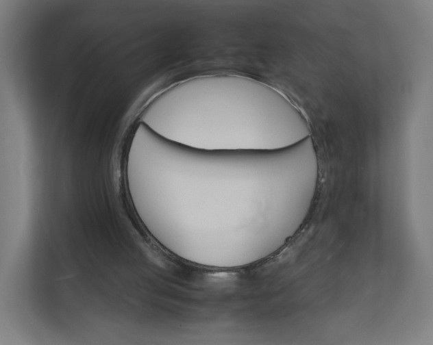 X0000112150053200908211422