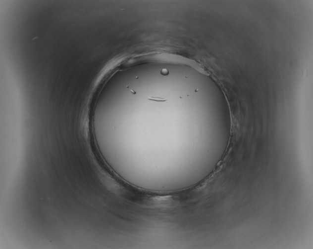 X0000112150054200908211422