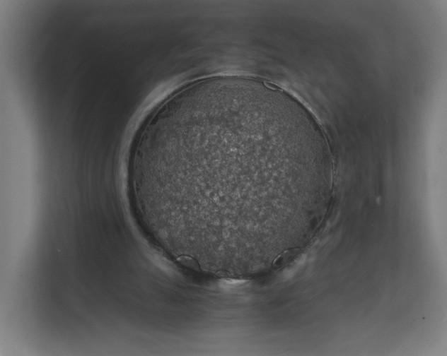 X0000112150055200908211422