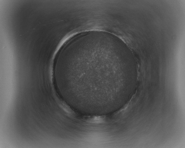 X0000112150056200908211422