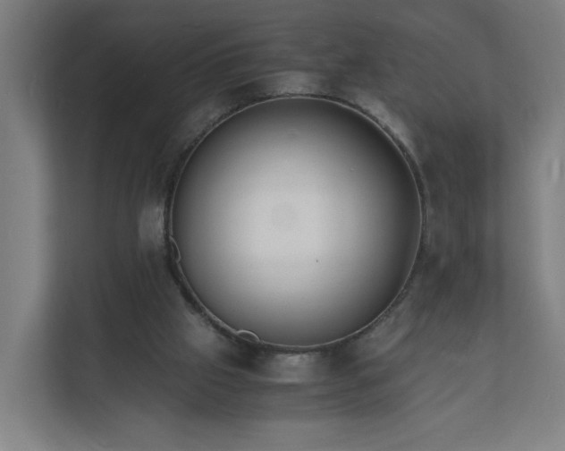 X0000112150057200908211422