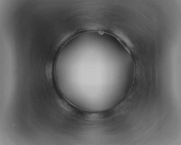 X0000112150058200908211422