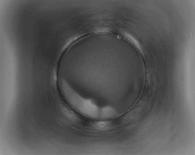 X0000112150059200908211422