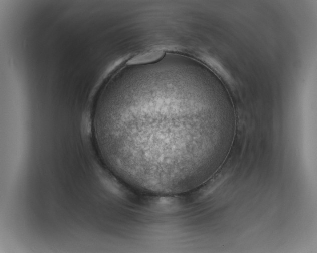X0000112150060200908211422