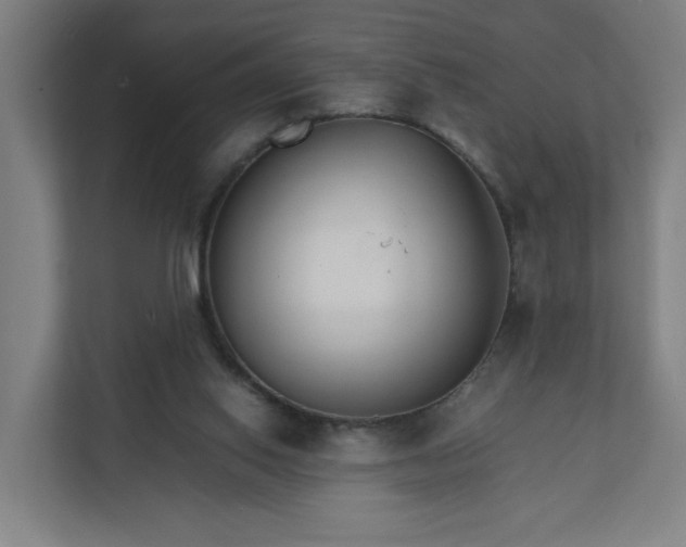 X0000112150062200908211422