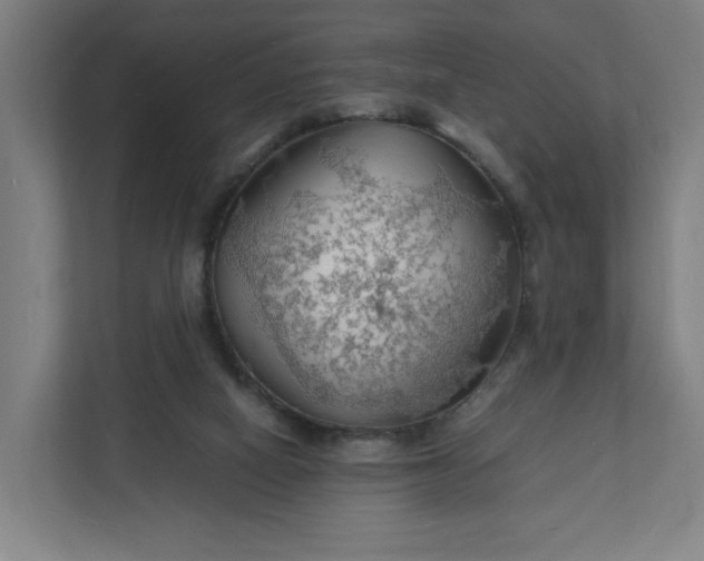 X0000112150066200908211422