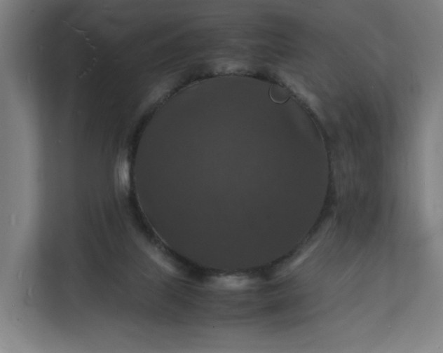 X0000112150067200908211422