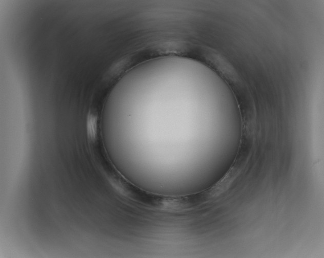X0000112150070200908211422