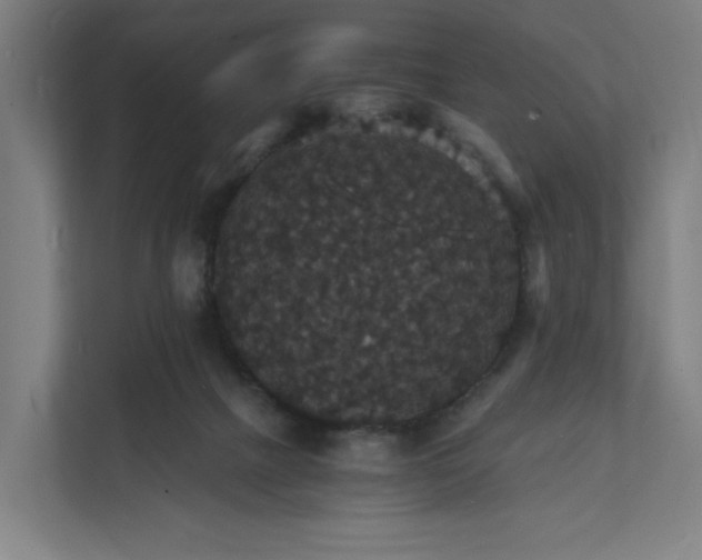X0000112150073200908211422