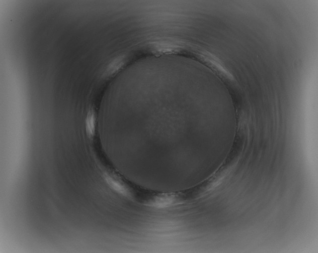 X0000112150076200908211422