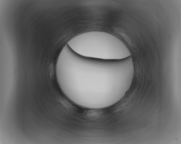 X0000112150077200908211422