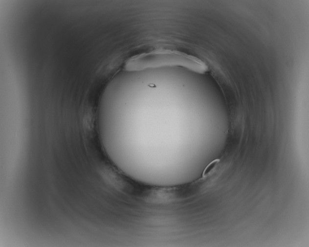 X0000112150078200908211422