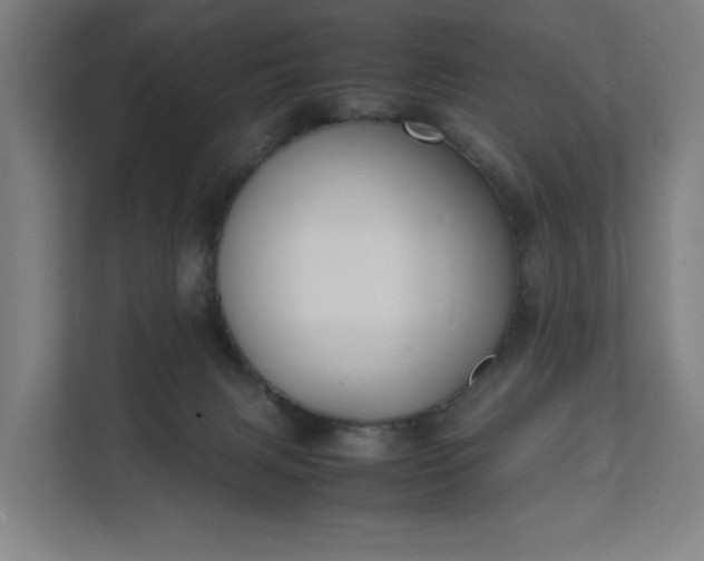 X0000112150079200908211422