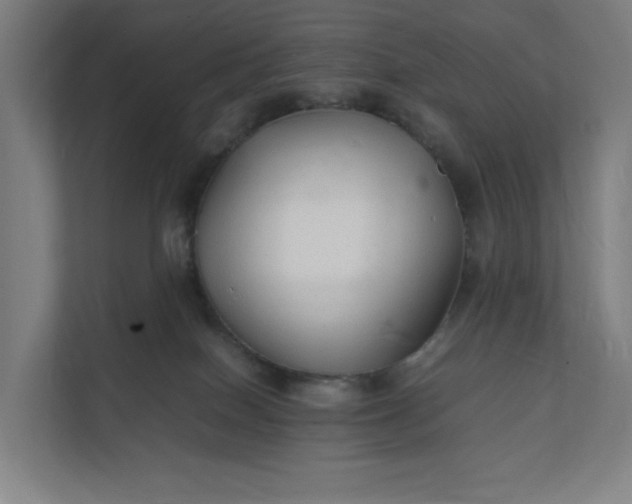 X0000112150086200908211423