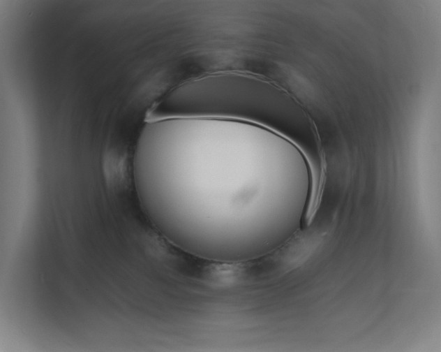 X0000112150088200908211423