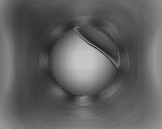 X0000112150092200908211423