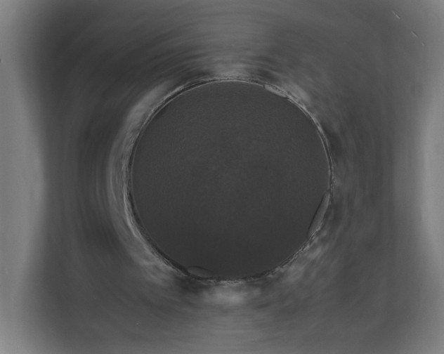 X0000112150097200908211422