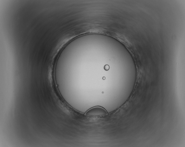 X0000112150098200908211422
