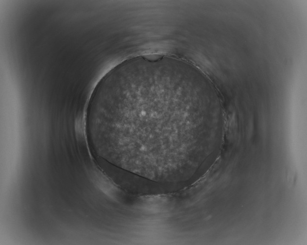X0000112150100200908211422