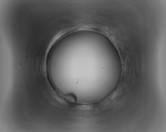 X0000112150102200908211422