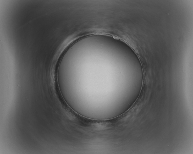 X0000112150103200908211422