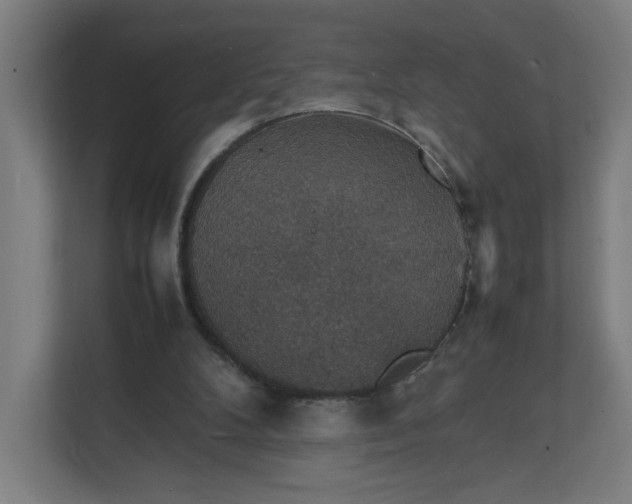 X0000112150104200908211422