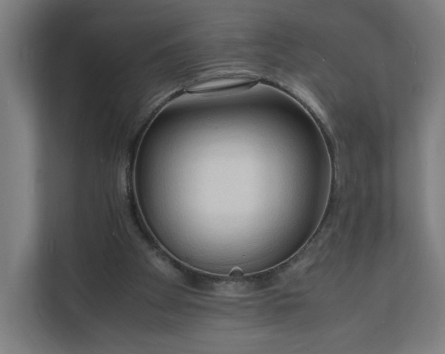 X0000112150105200908211422