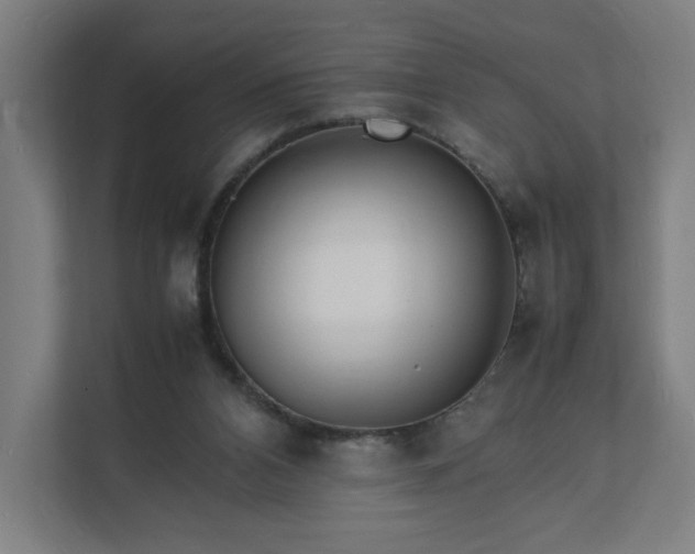 X0000112150112200908211422