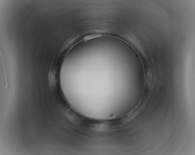 X0000112150116200908211422