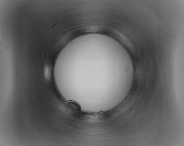 X0000112150118200908211422