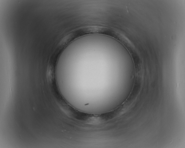 X0000112150119200908211422
