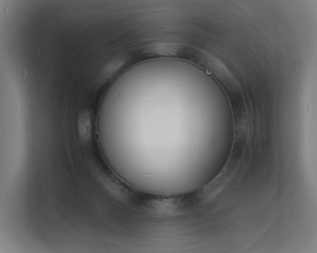 X0000112150120200908211422
