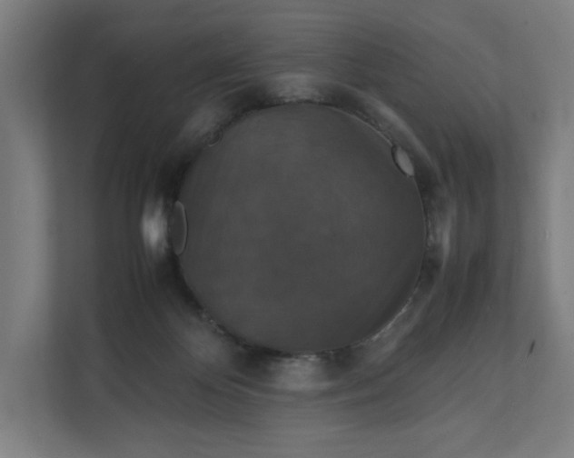 X0000112150124200908211422