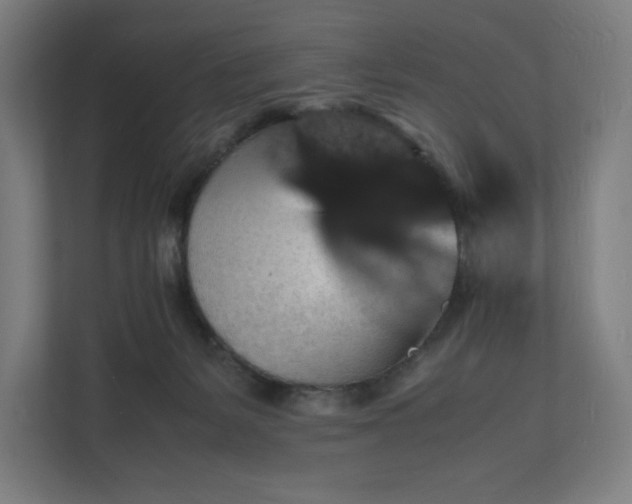 X0000112150127200908211422