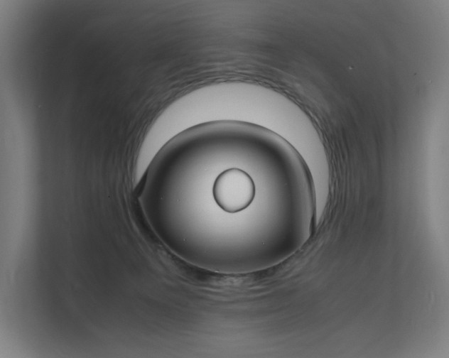 X0000112150129200908211422