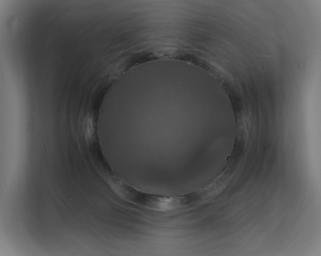 X0000112150130200908211422