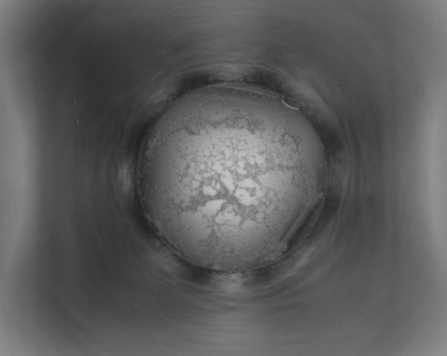 X0000112150131200908211422