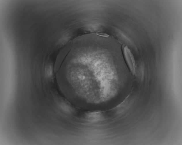 X0000112150132200908211422