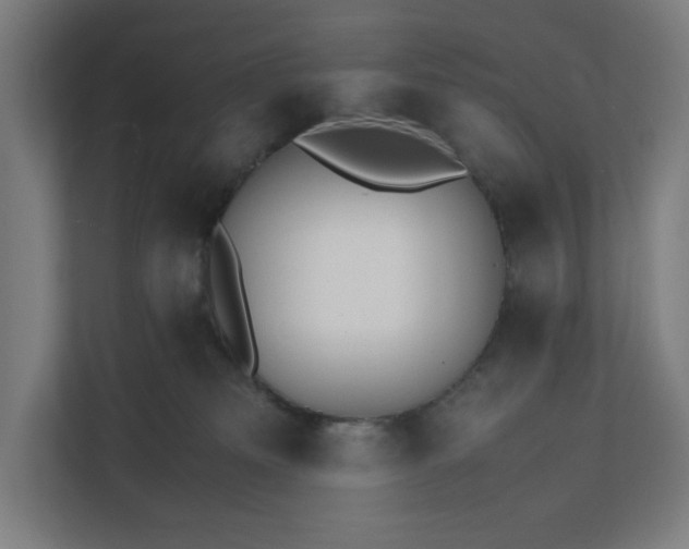 X0000112150133200908211422