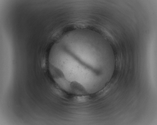 X0000112150134200908211422