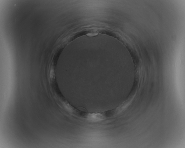 X0000112150137200908211422