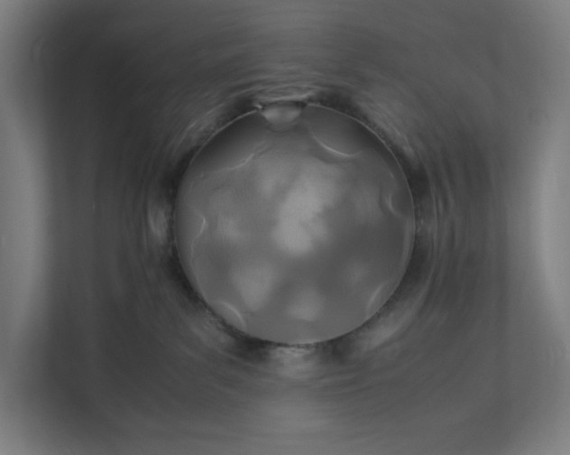X0000112150139200908211422