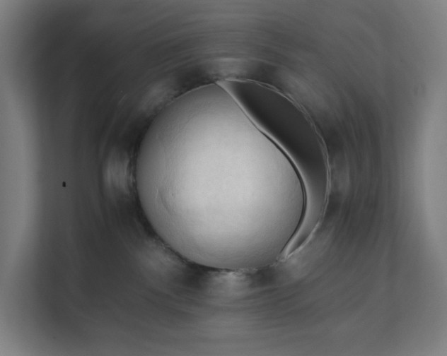 X0000112150140200908211422