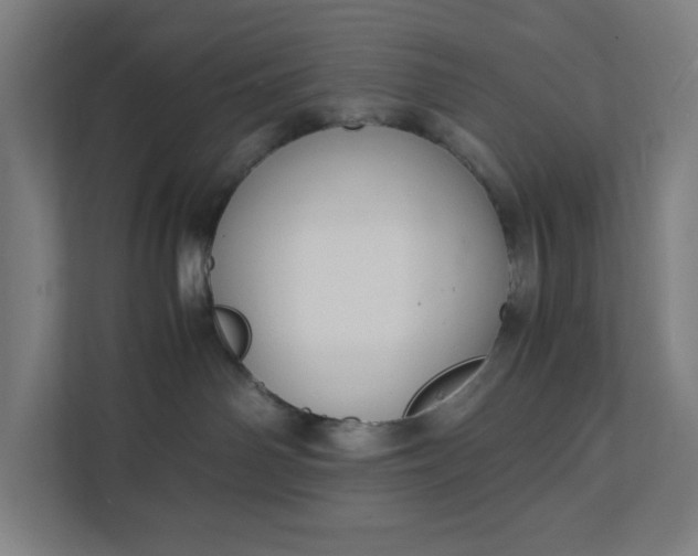 X0000112150142200908211421