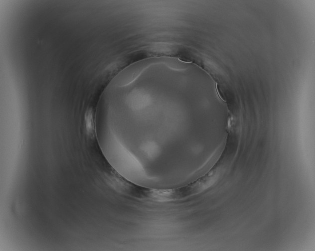 X0000112150143200908211421